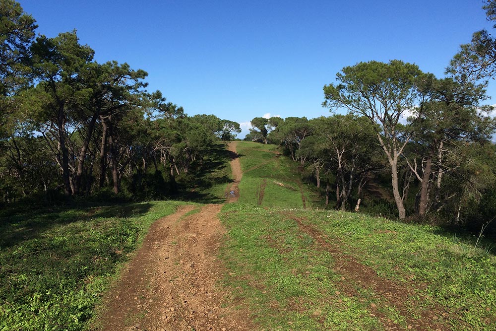 Sentieri per l'outdoor a Lacona, Isola d'Elba